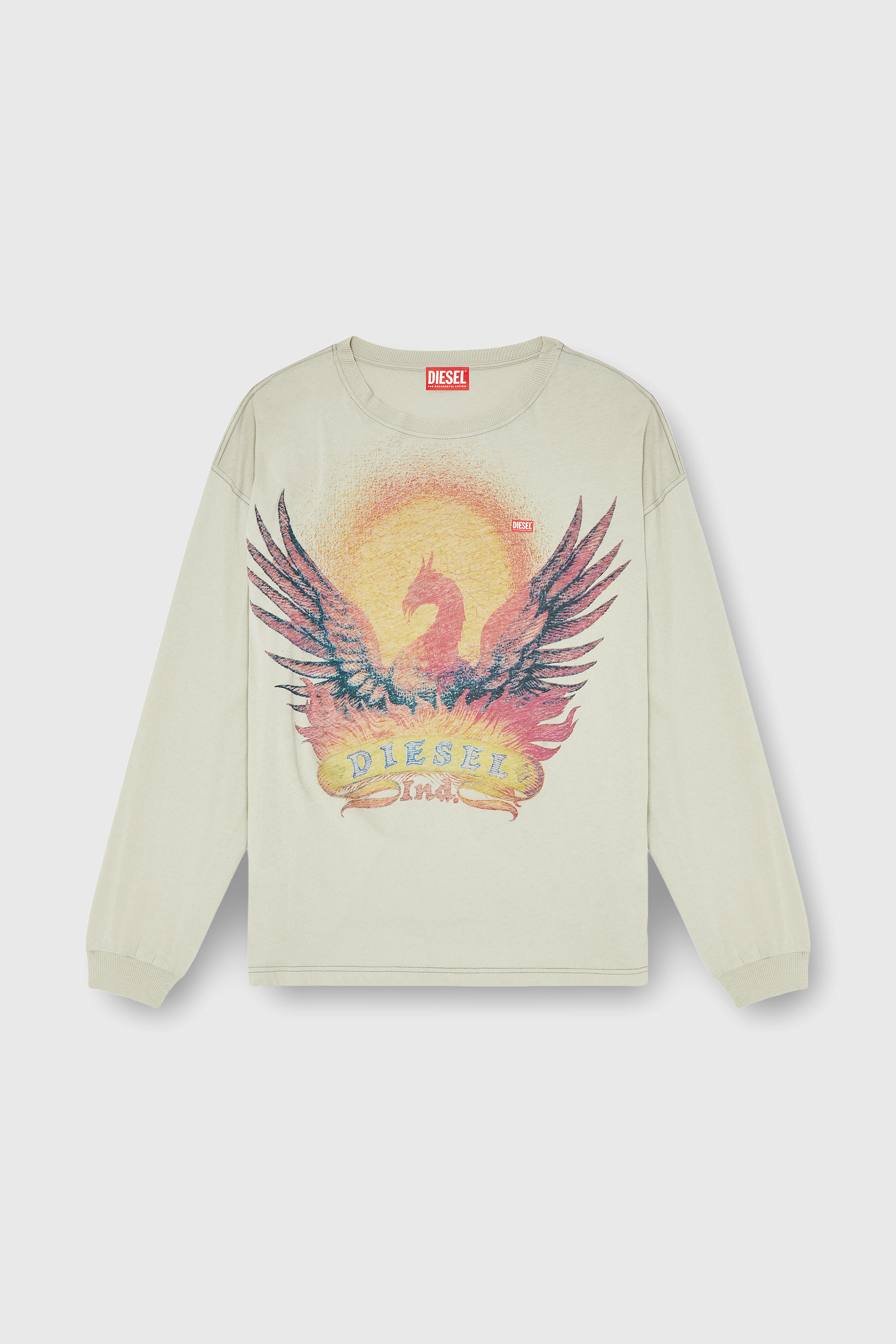 Diesel - T-BOXT-LS-AA1, Man's Long sleeve T-shirt with Phoenix graphic in Beige - 2