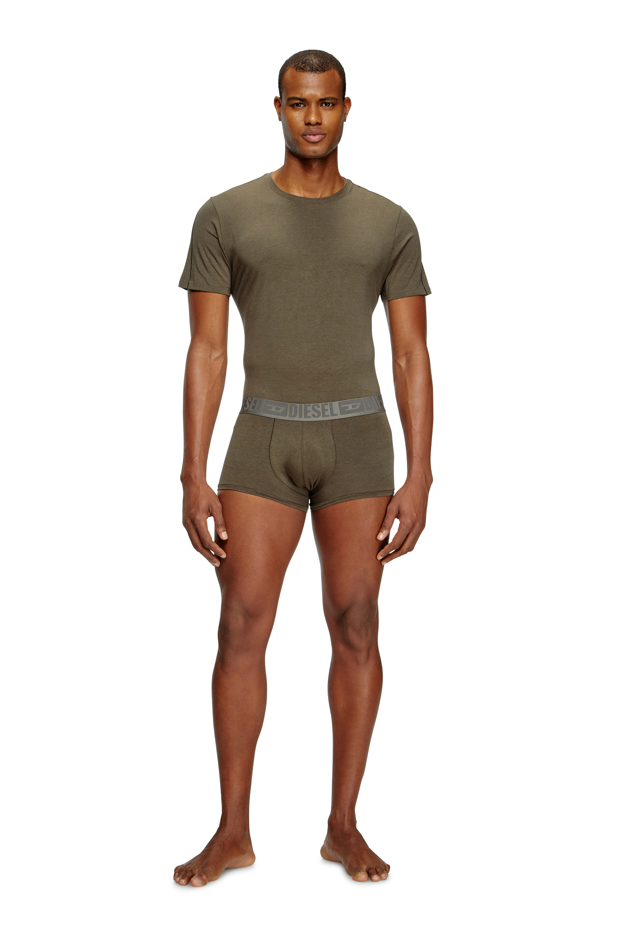 Diesel - RANDAL-D-MONO-2PACK, Man's 2-pack T-shirts in fluid jersey in Green/Blue - 1