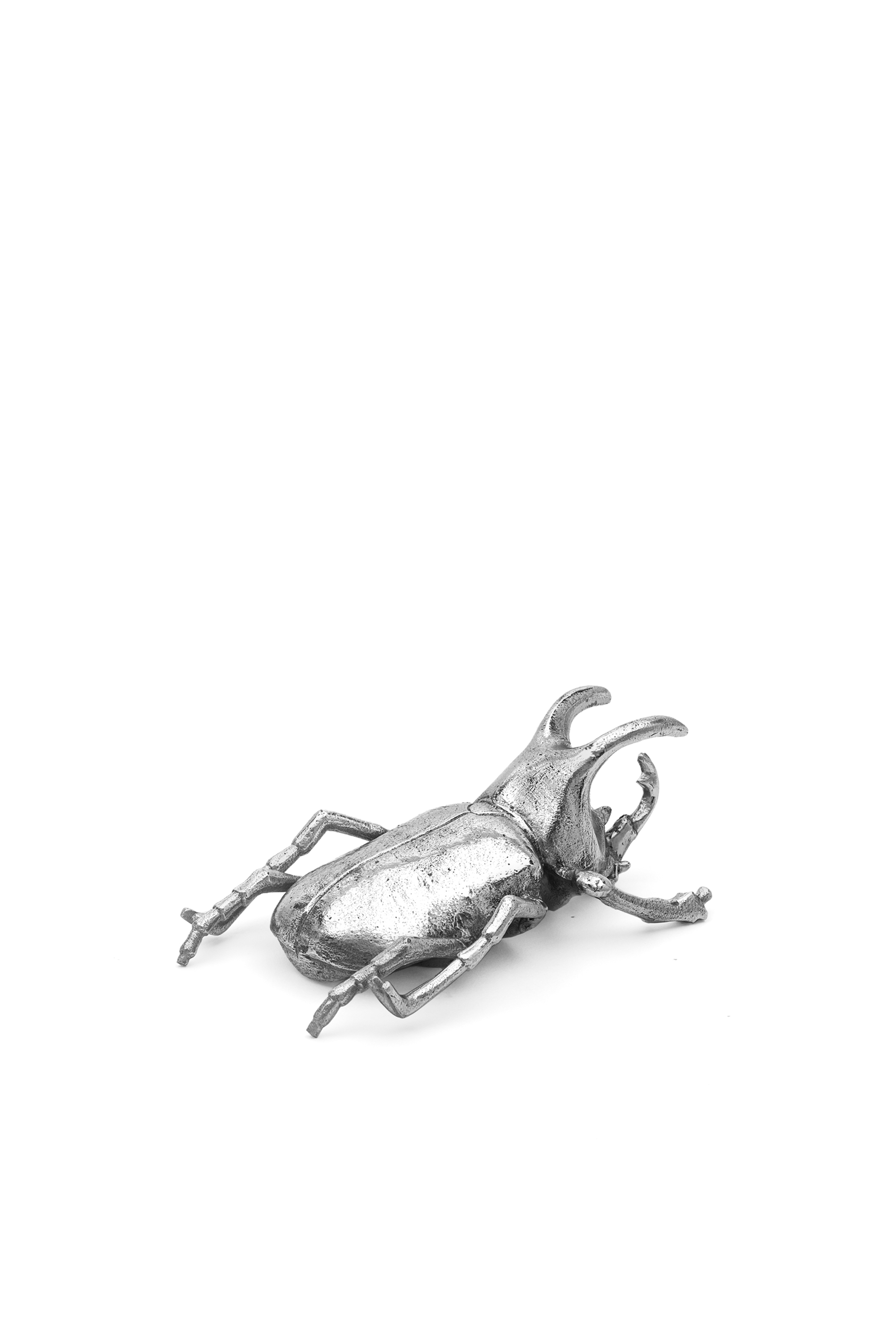 Diesel - 10887 WUNDERKAMMER, Unisex's Wunderkammer "Bug out" in Silver - 1